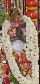 Iyarpagai Nayanar